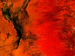 Désert de Simpson — Les rouges intenses du désert de Simpson transforment le paysage en une composition presque abstraite.
