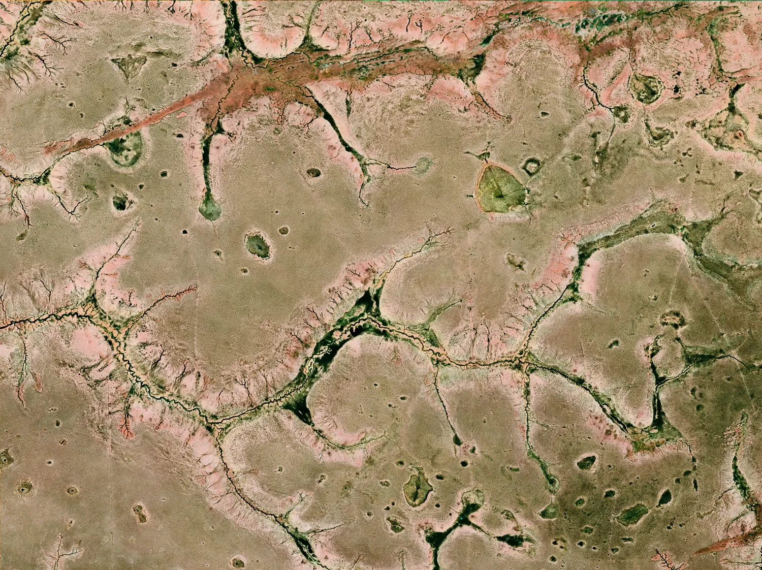 Matam — Dans la région de Matam, les ramifications du paysage évoquent des formes observées au microscope.
