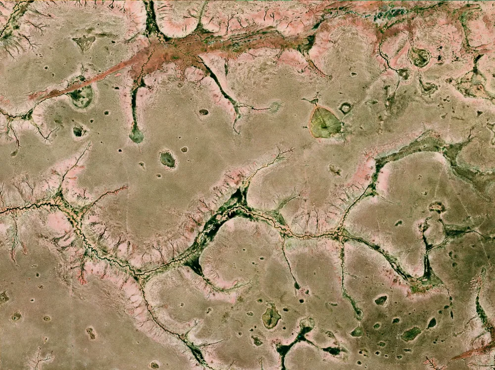Matam — Dans la région de Matam, les ramifications du paysage évoquent des formes observées au microscope.