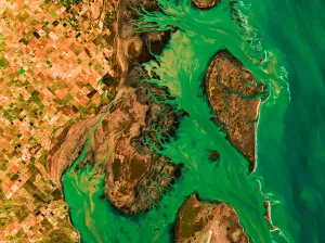 Buenos Aires — estuaire — Dans la province de Buenos Aires, l’eau et la terre se mêlent en une composition verte et ocre.