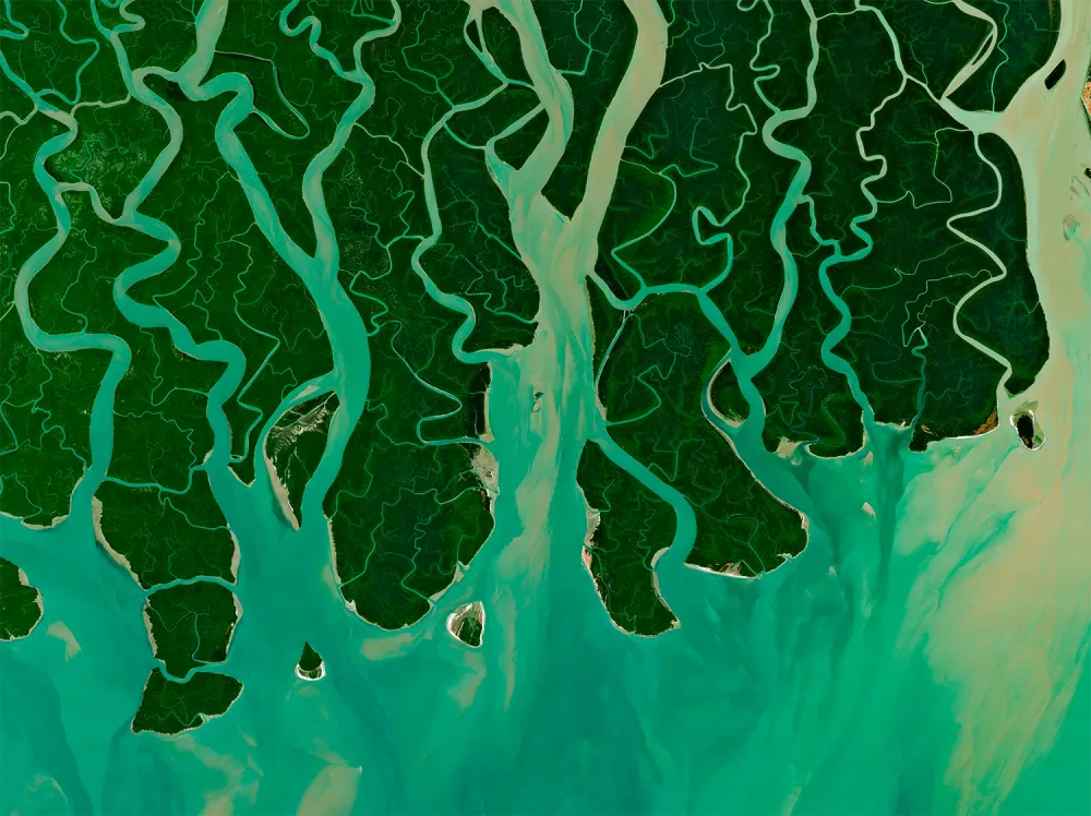 Les racines du delta — Dans la région de Khulnâ, le delta dessine un réseau de ramifications entre l’eau et les terres.