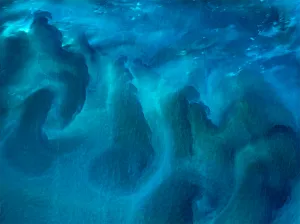 Courants d’Australie — Au large de l’Australie, les mouvements de l’eau prennent des allures de nuages peints.