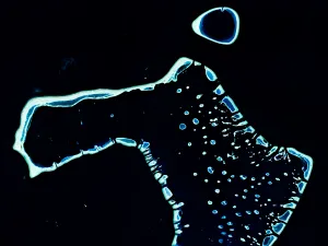 Les Maldives — Une myriade d’îles et de contours lumineux se détache de l’immensité sombre de l’océan.